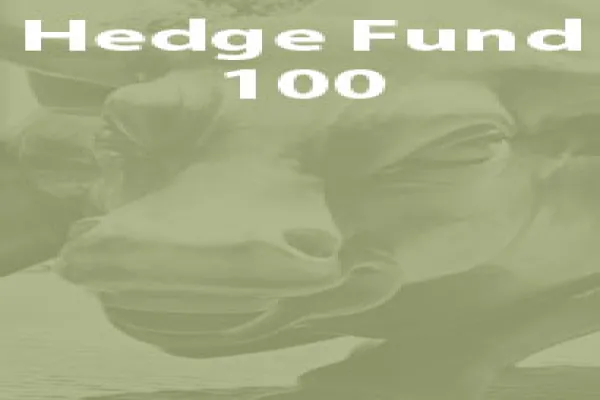 190x300hedgefund100.jpg