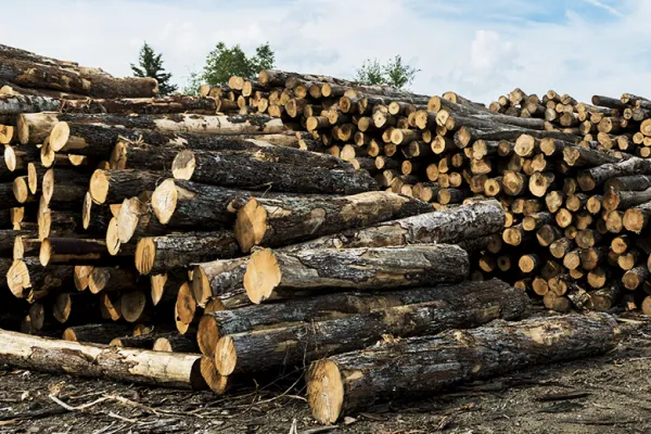 (Ian Thomas Jansen-Lonquist/Bloomberg).