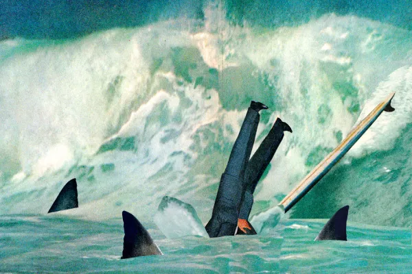 Illustrations by Justin Renteria.