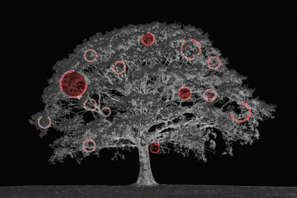 (Illustration by RIA Intel)