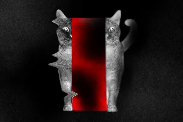 (Illustration by RIA Intel)