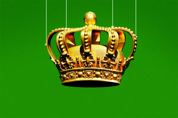 Illustrations by Nicolas Ortega 