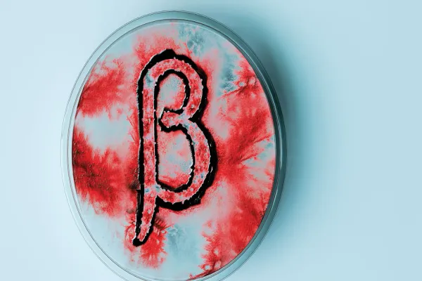 Illustration by Sinelab