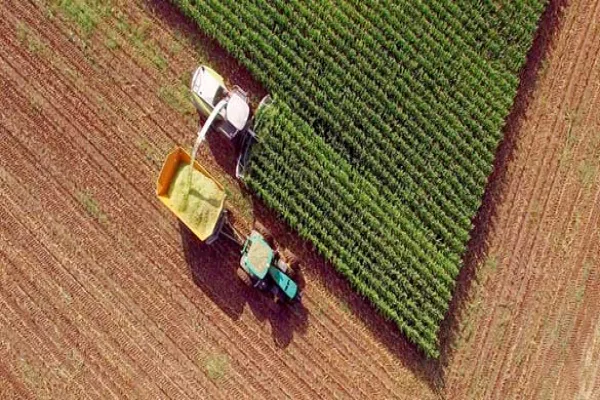 Franklin Templeton White Paper