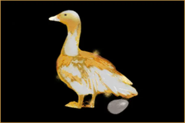 golden-goose-0011.gif