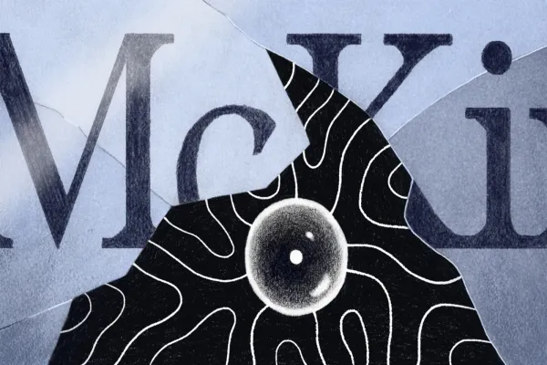 Illustrations by Laura Lannes