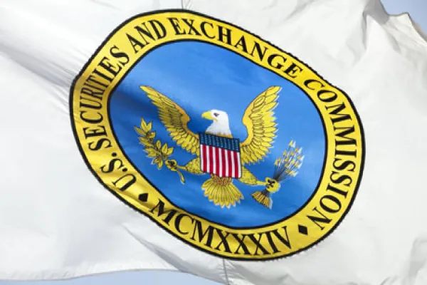 sec-flag-large.jpg