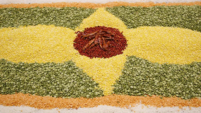 ECOSOC World Food Day Observance on the theme "Achieving food security in times of crisis."