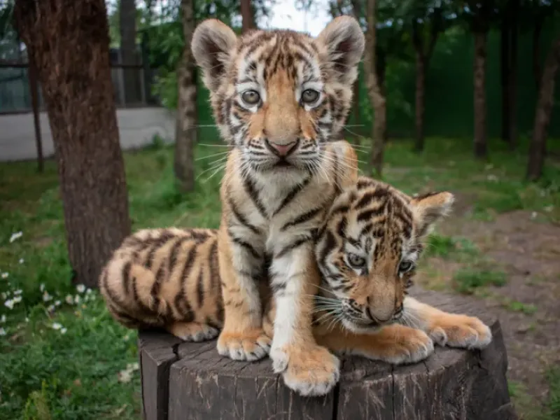 Teach your clients about the importance of website visitor tracking to evaluate if their marketing approaches and content are working.