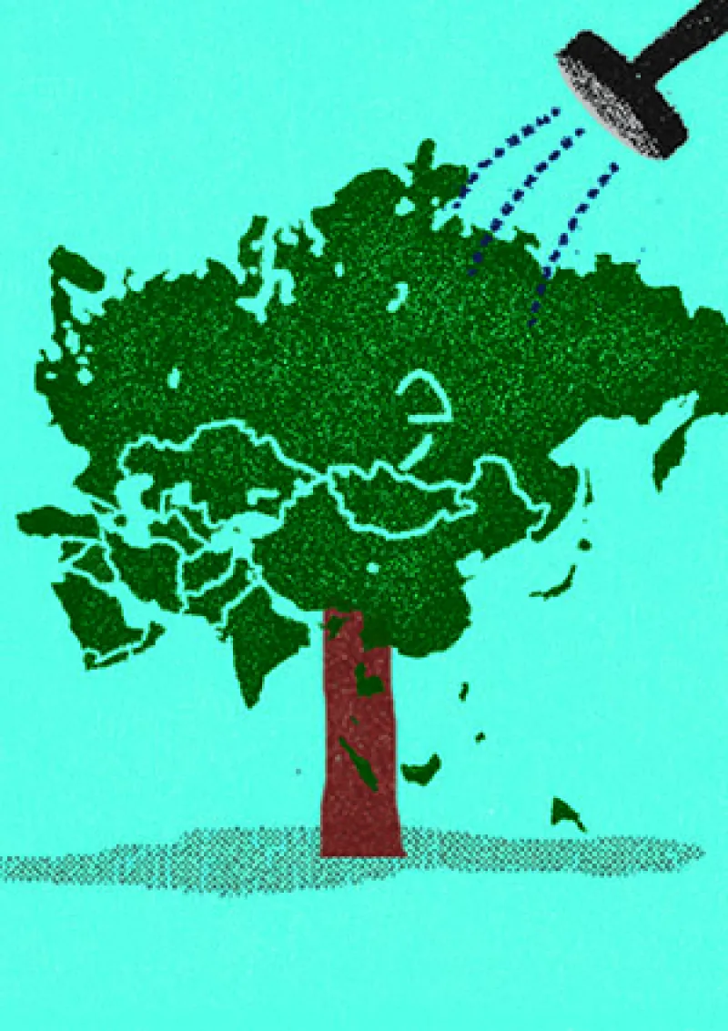 aaron-timms-research-the-asia-25-tree-300x425.jpeg