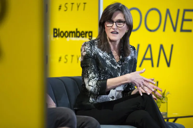 Cathie Wood, CEO of ARK Investment Management. (Alex Flynn/Bloomberg)