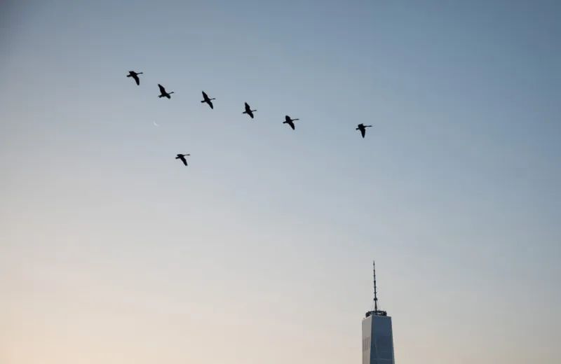 Michael Nagle/Bloomberg