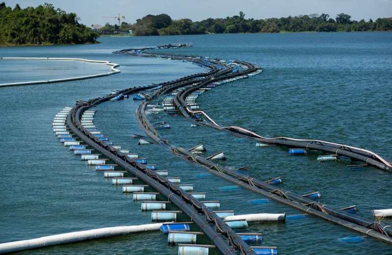 Geric Cruz/Bloomberg 