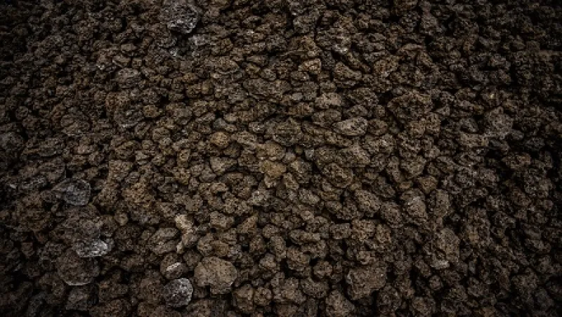 Coup d'Etat To World Trade Seen in Renco's $800 Million Toxic Lead Fight