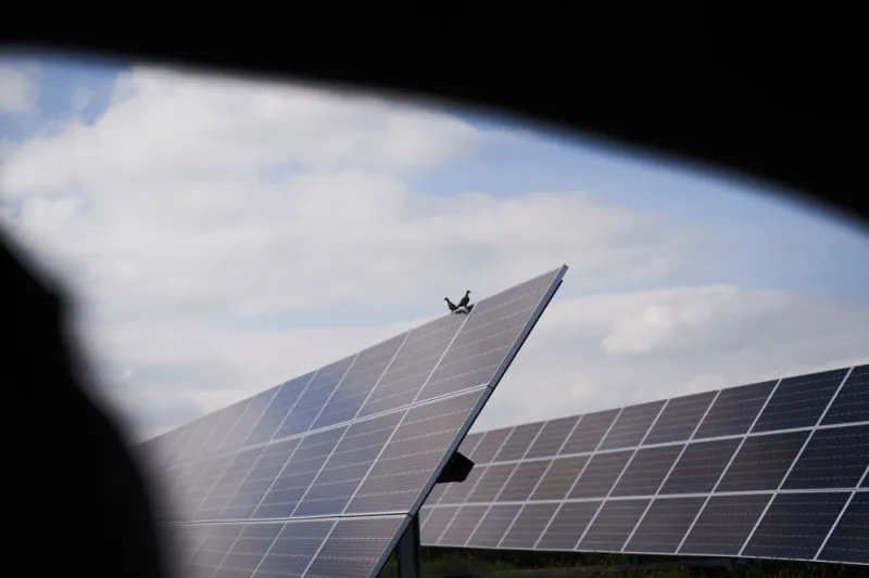 Mauricio Palos/Bloomberg