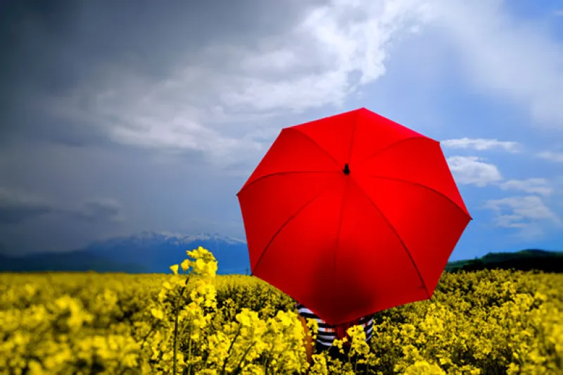 Waterproofing Pension Plans