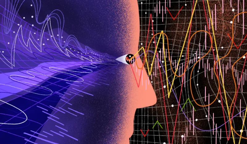 Illustrations by Molly Snee