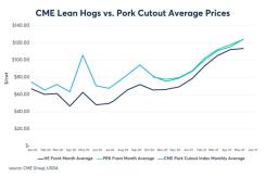 Hog prices